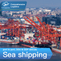 cheap Sea Shipping Service Sea Freight Forwarder Shipping  freight agent From China to USA